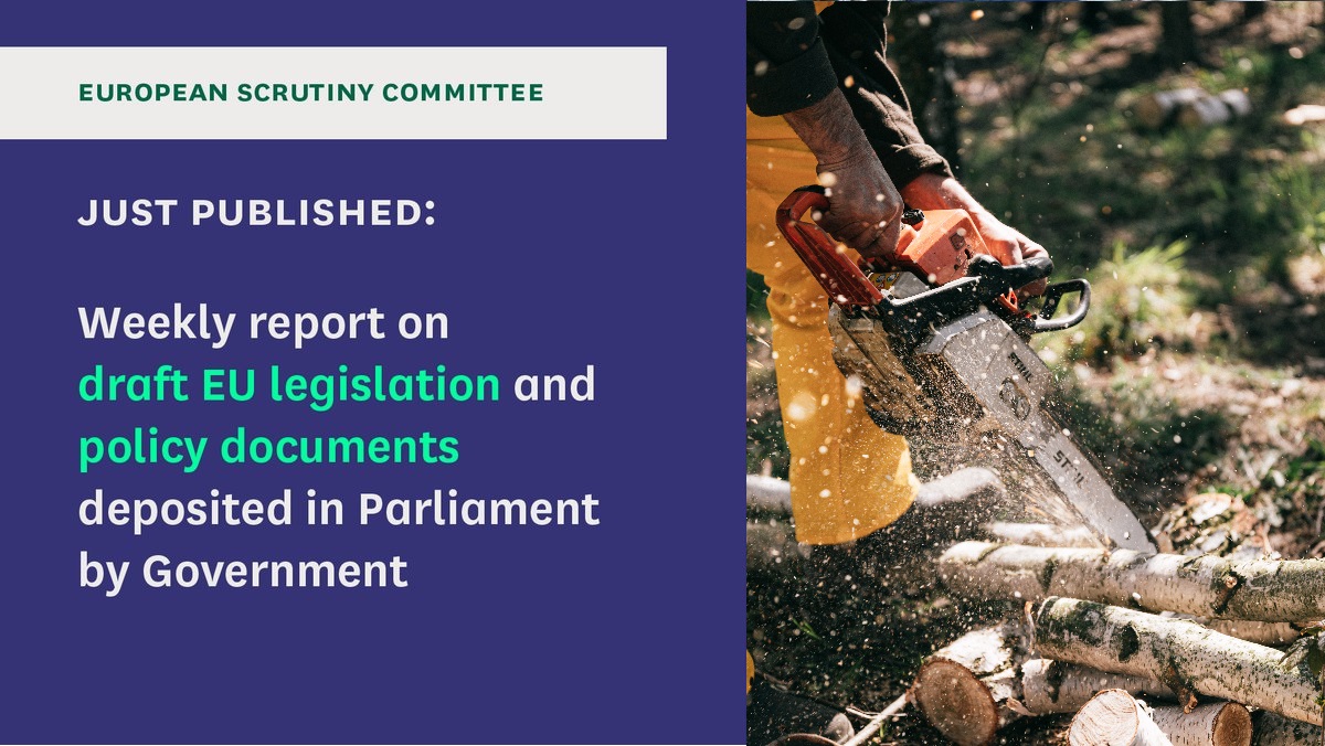 In our report published today we talk about the implications for the UK of EU plans concerning: 
•Deforestation and Forest Degradation
•Northern Ireland Protocol: Veterinary Medicines
#EUScrutiny #NIProtocol

Read our report: publications.parliament.uk/pa/cm5803/cmse…