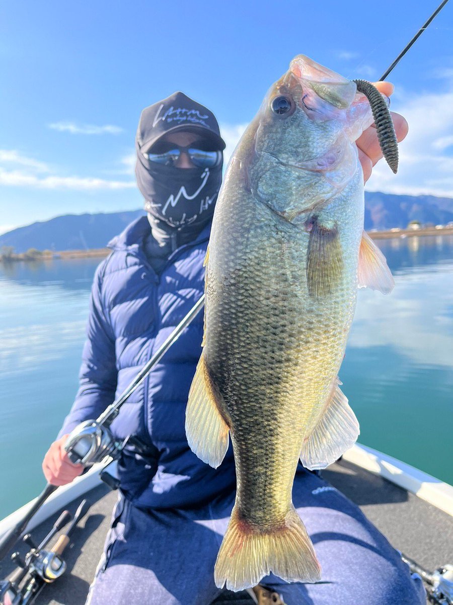 Ma_o_Ma's tweet photo. 昨日の長良川ガイド
リバウンドスティックのフリーリグで２投連続fish😈 https://t.co/fxYoYWzWhK