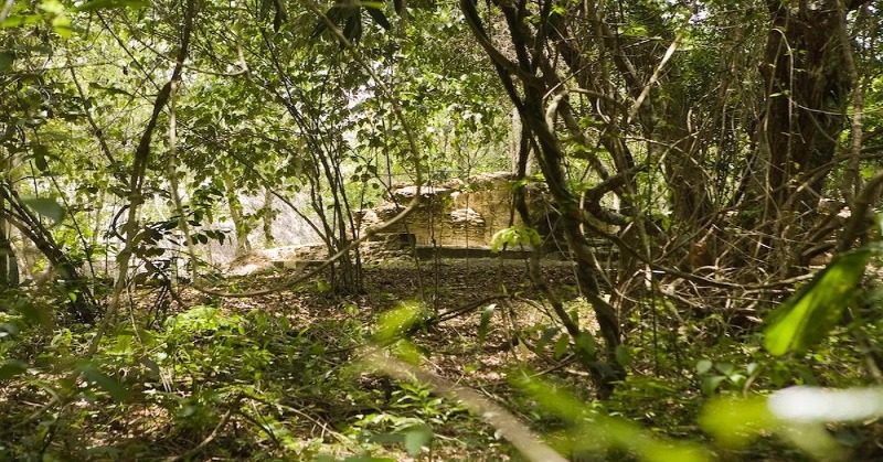 FrontiersIn's tweet photo. In the latest #FrontierScientists series, we spoke with Dr Anabel Ford about her career and her research on the importance of the traditional milpa land use system for the Maya civilization today. 

Read her study in @FrontEcolEvol: https://t.co/IRWJyekkvC or our news story ⬇