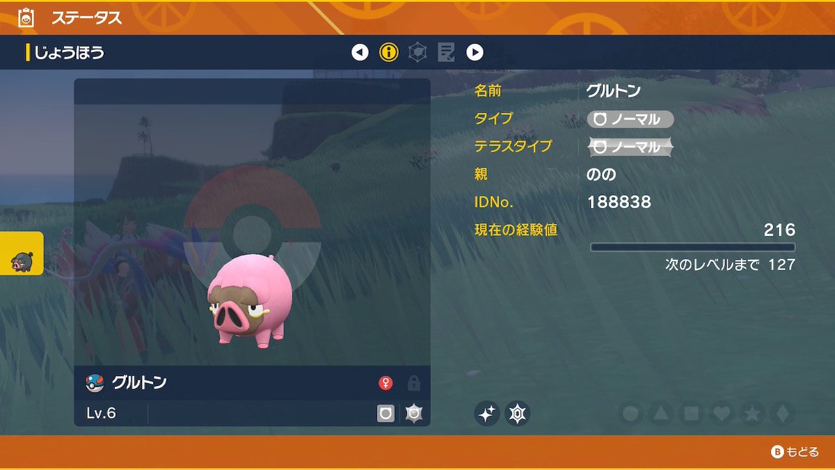 初めてのイロチきちゃ〜