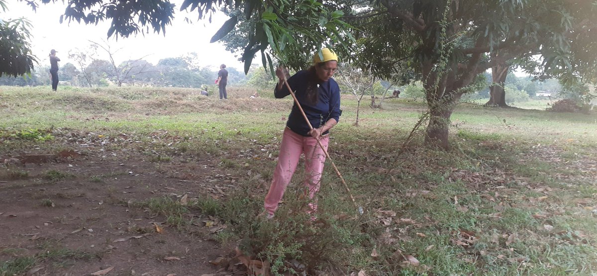 Toda teoría tiene su praxis y debemos dar ejemplo de formación para que cada día los rebeldes sean más porque somos TUPAMAROS #ejemplodelucha.
<a href="/NicolasMaduro/">Nicolás Maduro</a> 
@TupamaroMRT 
<a href="/WBenavides_MRT/">Williams Benavides</a> 
<a href="/Tupa_Esteban/">Esteban Fernández</a>
<a href="/portuguesamrt2/">@PORTUGUESAMRT2</a>
<a href="/francessco_4020/">Francisco Ippolito</a>