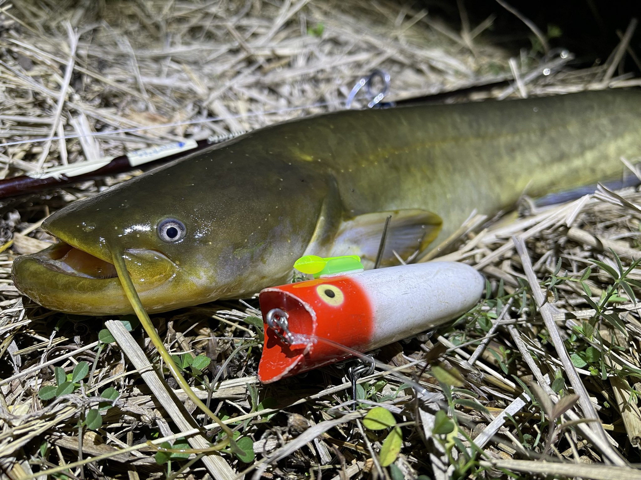 ラッキー13 Heddon Lucky13