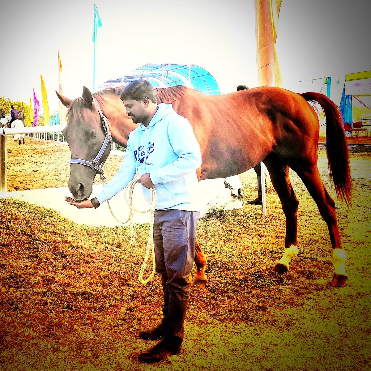 KS_VideoAnalyst's tweet photo. Junior National Equestrian Championship https://t.co/tARvKZ8b3I