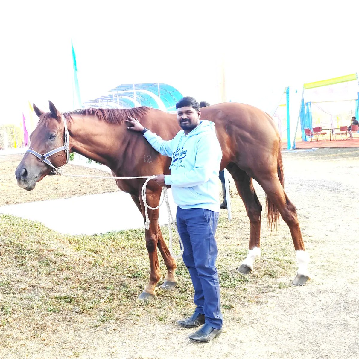 KS_VideoAnalyst's tweet photo. Junior National Equestrian Championship https://t.co/tARvKZ8b3I