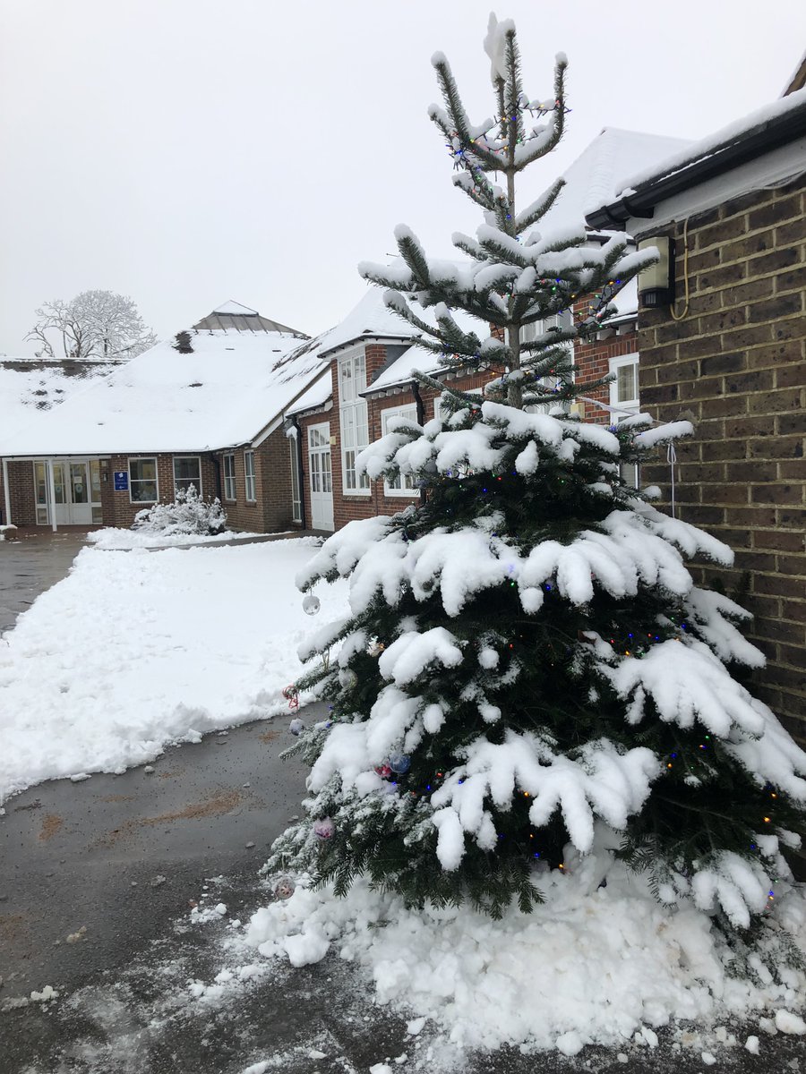 Felbridge Primary School tweet media