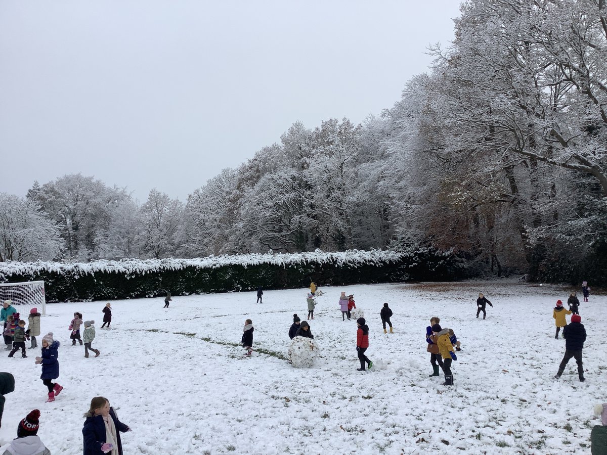 Felbridge Primary School tweet media