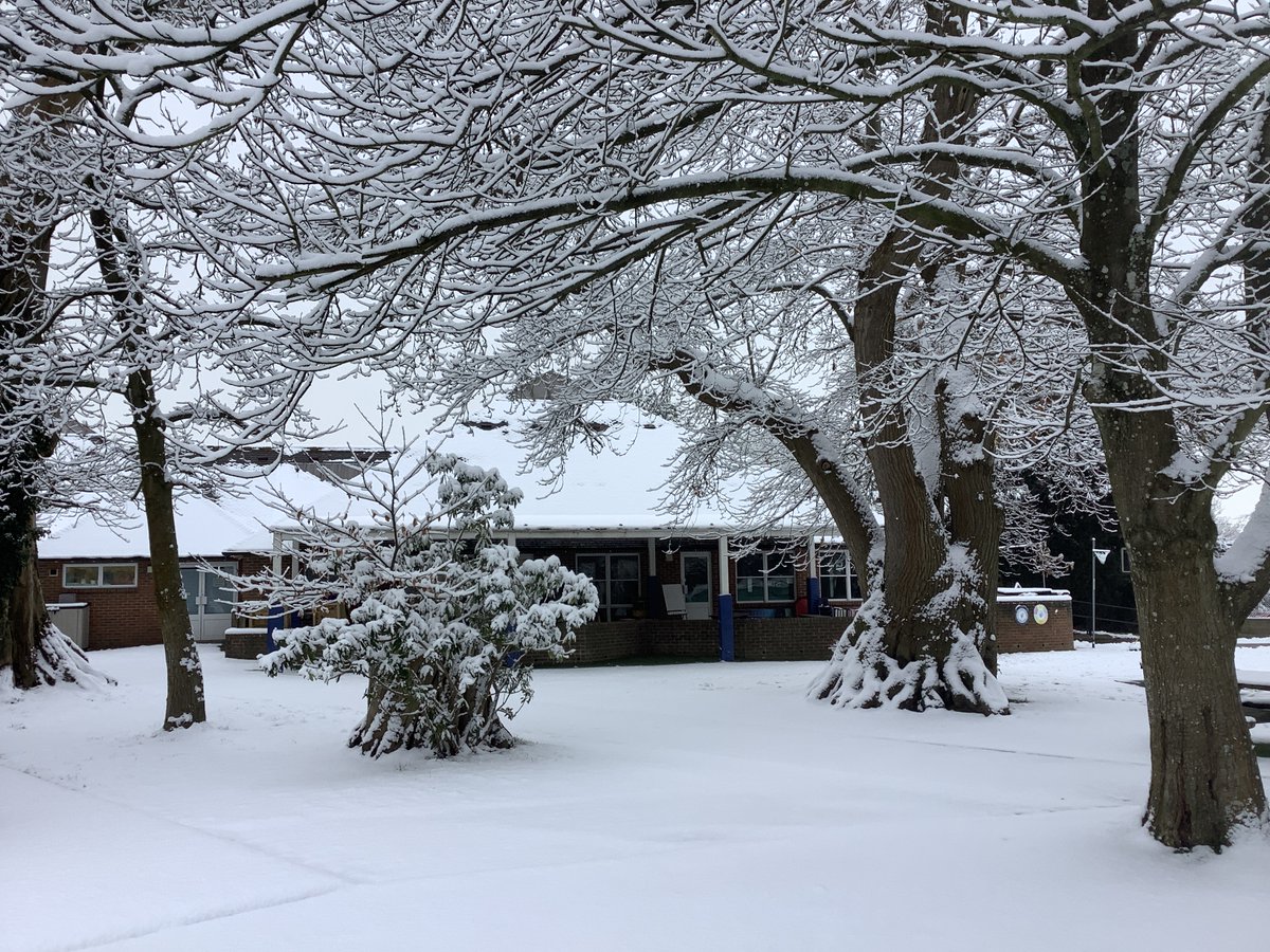 Felbridge Primary School tweet media