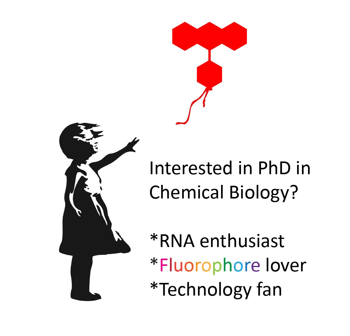 Please RT!  📢I am looking for a PhD student📢 interested in Chemical Biology, #RNA, #Fluorophores, #Imaging &amp; developing new technologies for spatial biology <a href="/UniHeidelberg/">Uni Heidelberg</a> <a href="/IPMB_HD/">IPMB</a> in my group. Please apply! More info:  sunbulgroup.com/phd-wanted