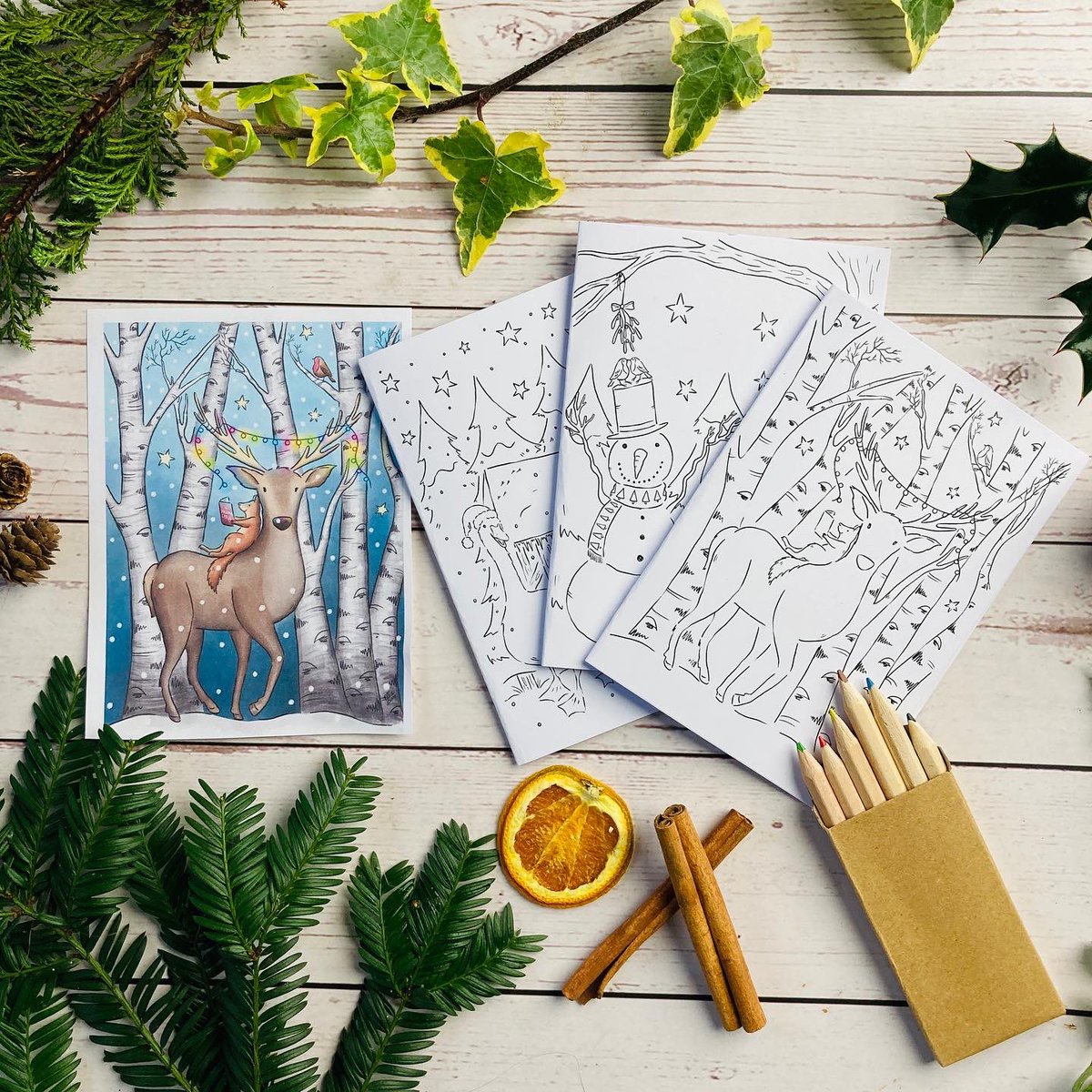 Fr_RowntreePark's tweet photo. Free ‘colour your own’ Christmas cards. Based on Rowntree Park and designed by the lovely Ellie Lewis illustrator who designed our charity Christmas cards. Perfect for kids (and adults!) Download from https://t.co/iJL7ewXENQ #yorkmums #yorklife #york https://t.co/hmuEKH0xf1