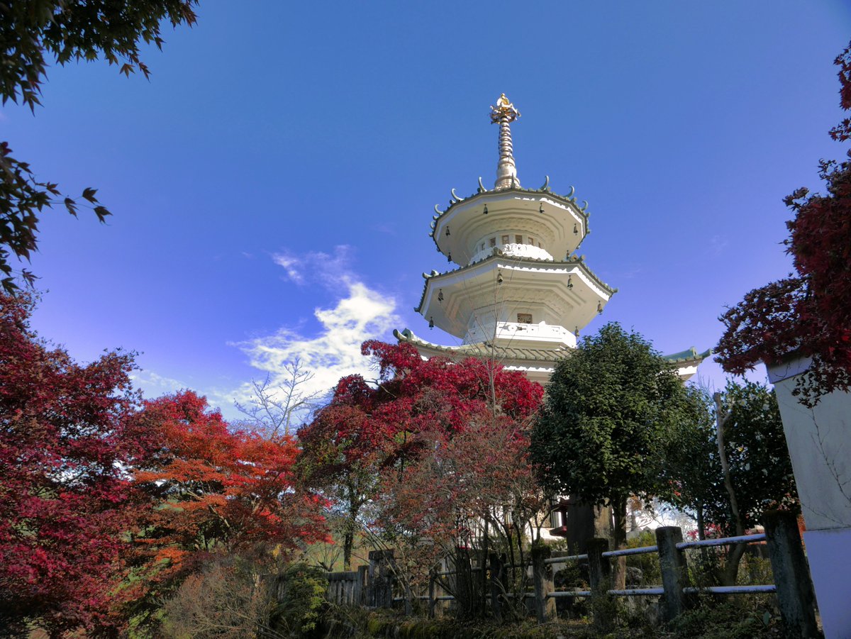 MOONSTO71692245's tweet image. 今日はクロアチア🇭🇷VSアルゼンチン🇦🇷
前大会では3－0でクロアチアの勝利！
イエローカードの少ない
素晴らしい試合に期待です🇦🇷✨🇭🇷✨
#wordcup2022