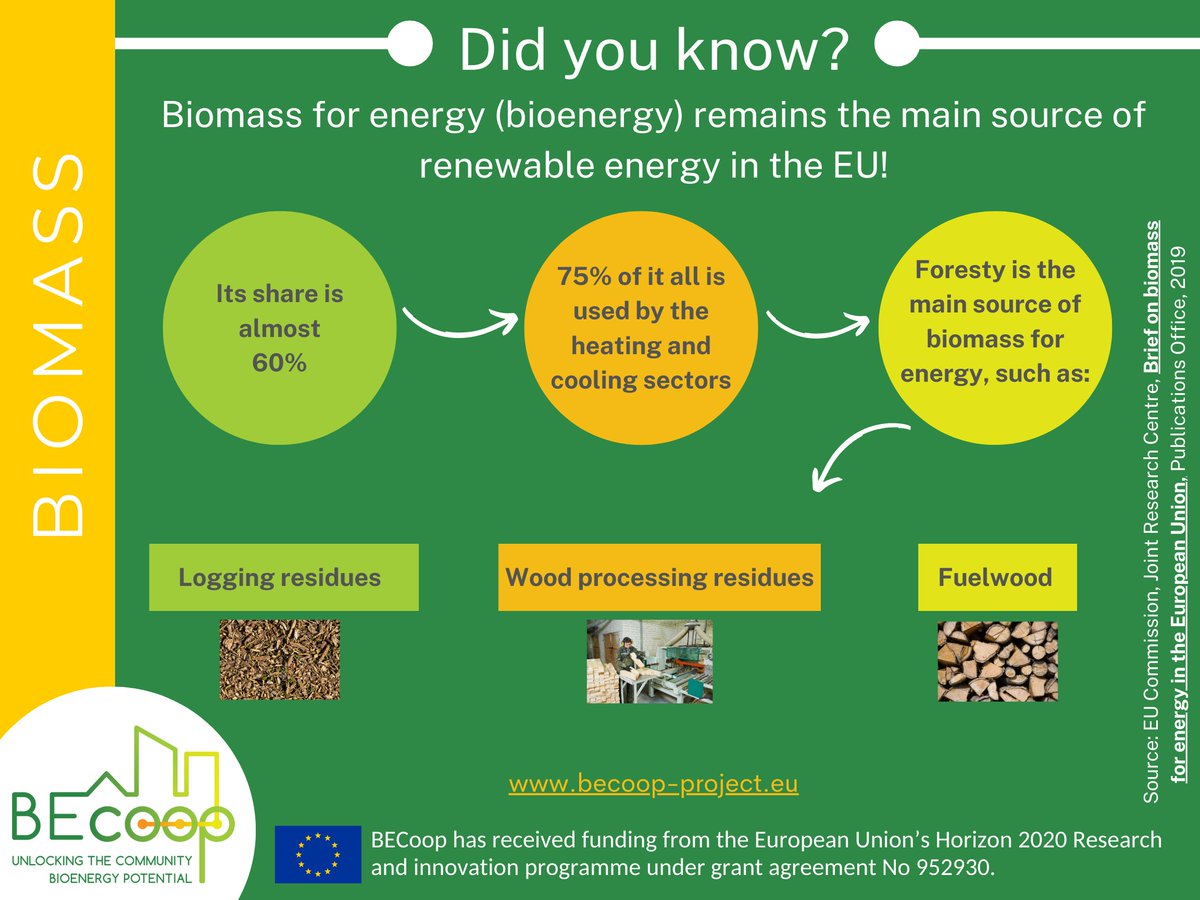 BecoopH2020's tweet photo. Did you know? Our #EUawarenesscampaign on #biomass et #energycommunities continues 

Biomass for energy (bioenergy) remains the main source of renewable energy in the EU, see some key facts &amp; data in our banner of the week!

https://t.co/mknkzSK0Bj https://t.co/hByjfSXJnv