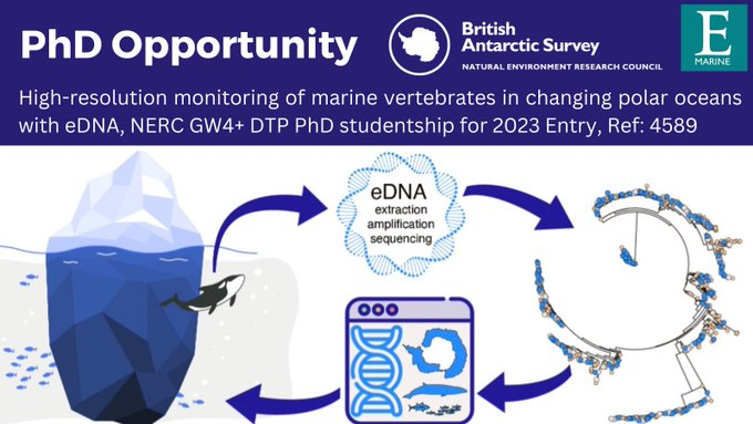 ✨ PhD Opportunity! ✨Bioinformatics and marine ecology - eDNA monitoring of vertebrates in polar systems 🧬@marinebugs @polarbiome collaboration between @UniofExeter and @BAS_News @ExeterMarine 🦭🐋🐟🧬🦈 ⏰ Applications close 9th Jan 2023!! 👉 exeter.ac.uk/study/funding/…