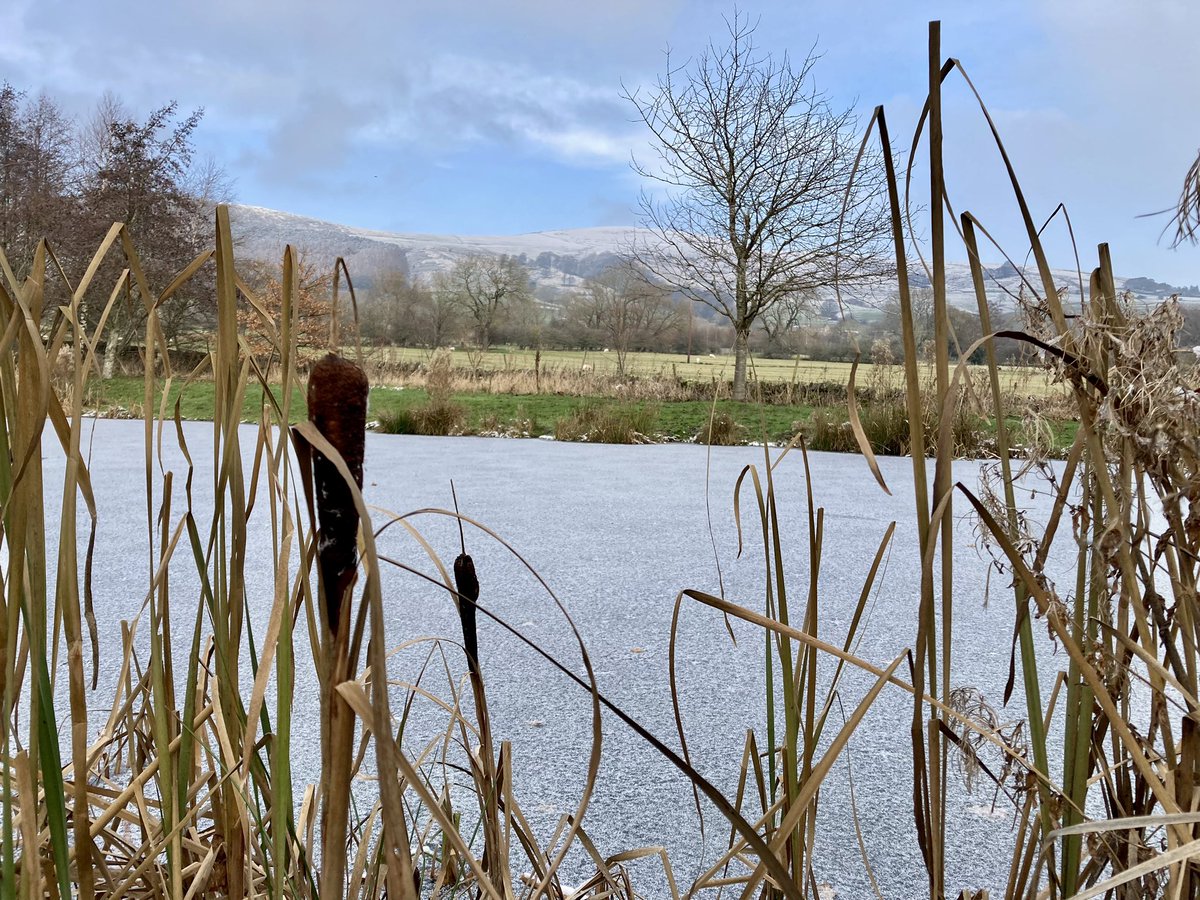 LindleyET's tweet photo. Some winter pictures from around the site… we know that’s the kinda content you all are here for! 
It really does look beautiful with all the snow and frost ❄️⛄️🤩 https://t.co/ruMmhqNGMh