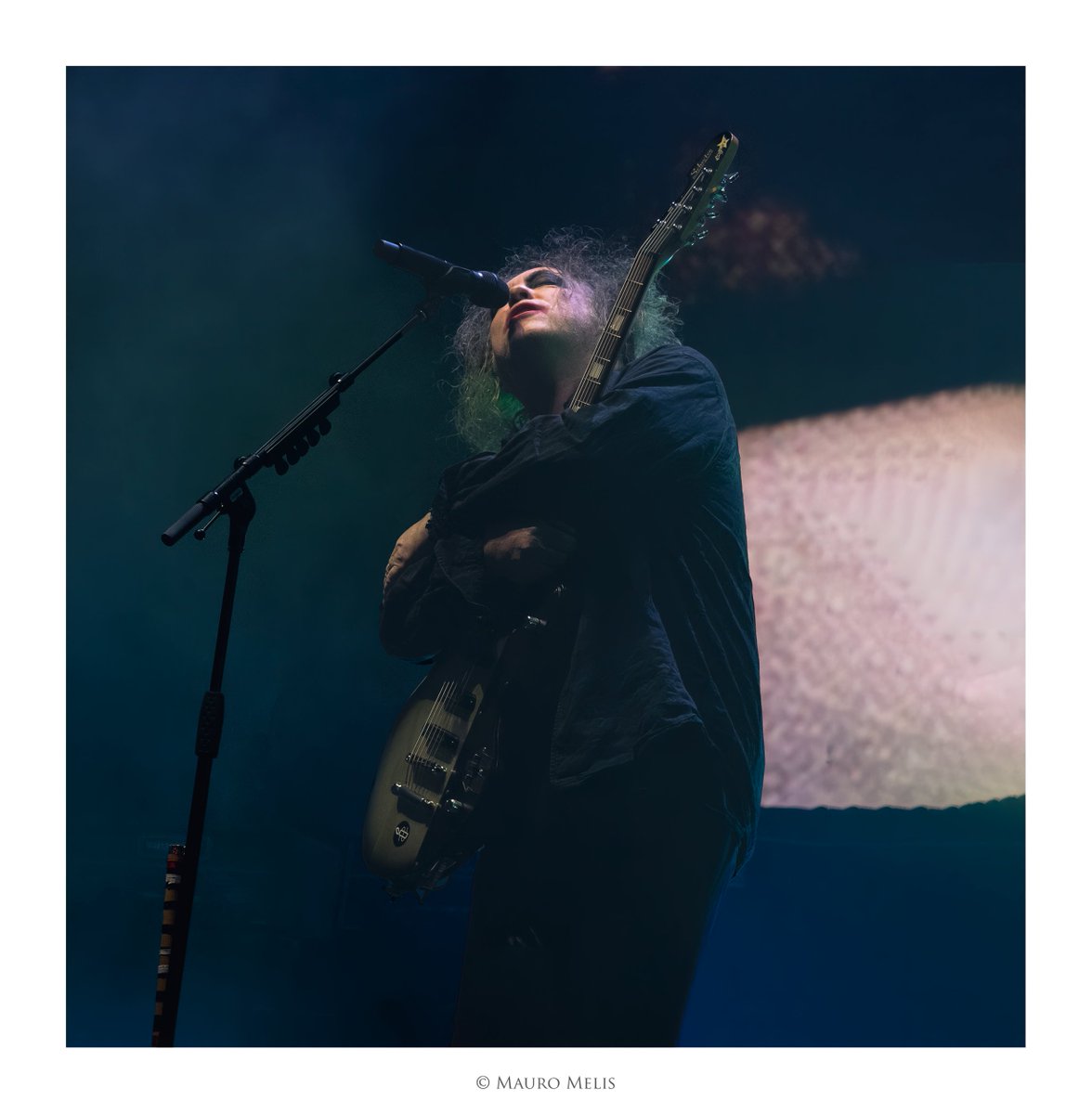 MauroMelis tweet media