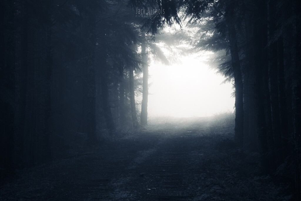 jmongol's tweet photo. The way out is through...⁠
⁠
#fog #mood #moody #nature #pnw #pnwcollective #pacificnw #wa #washington #pnwonderland #thatpnwlife #upperleftusa #pnwwonderland #pacificnorthwest #komoLOZ #wildlycreative #ourpnw https://t.co/fDLbtGAGim https://t.co/4hCB8vpMe0