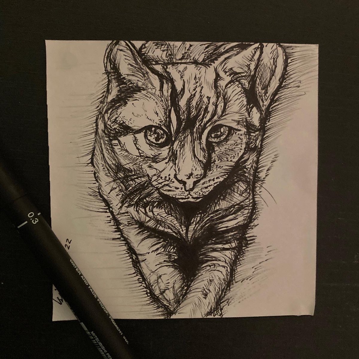 louisgraphics_'s tweet photo. Bit different to my usual stuff but have done lots of drawing in pen since starting uni. These are some of my recent illustrations! https://t.co/V2ZQt54iL6