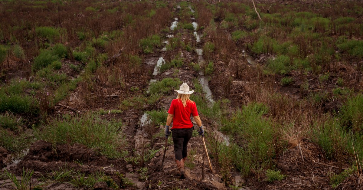 The Future of Forestry is Female: To combat climate change, women around the world are leading efforts to reverse deforestation and manage forests sustainability.

theatlantic.com/sponsored/mast…