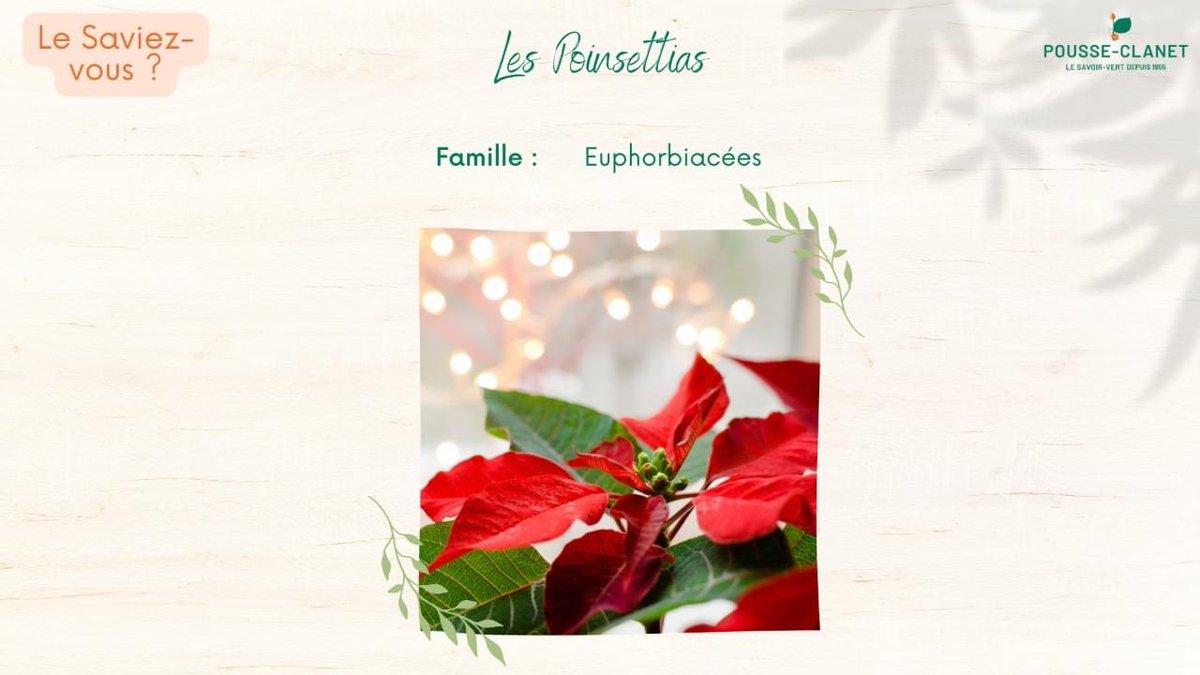 pousse_clanet's tweet photo. https://t.co/GtmrcJKUU2