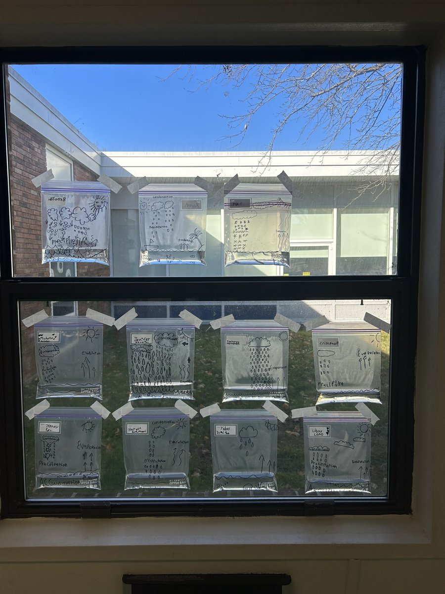 Jeni Vogel tweet media