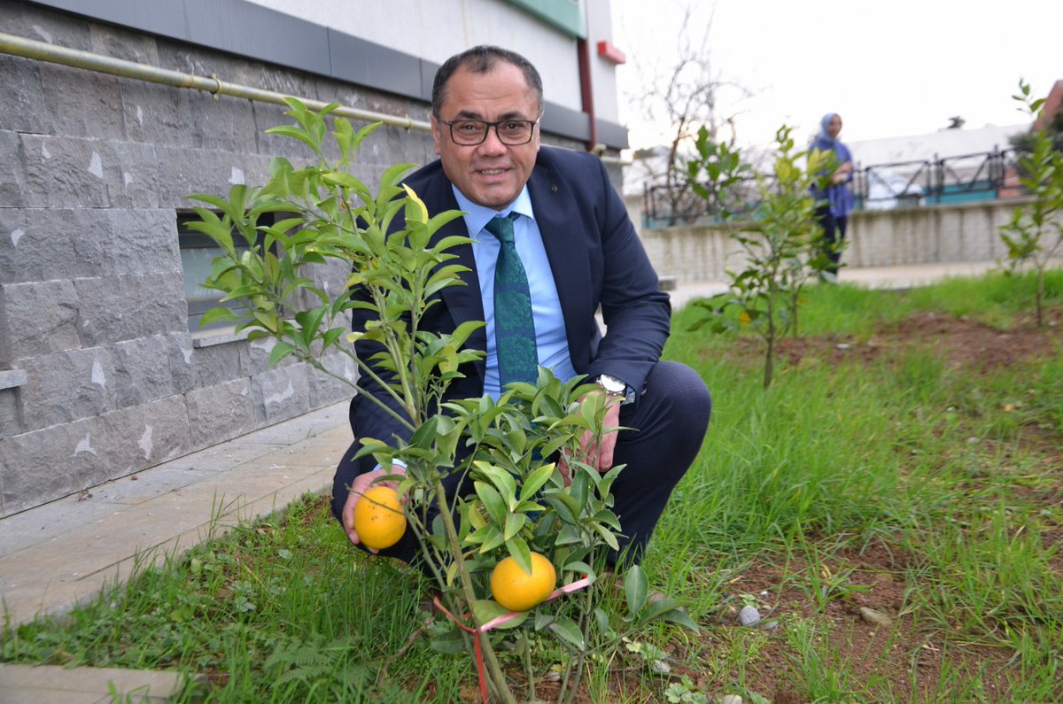 emen_engin's tweet photo. "Bahçeler Toprak Olsun Gençler Meyveye Doysun Projesi" kapsamında Okul bahçelerimize diktigimiz meyve fidanlarımız meyve vermeye başladı. Emeği geçen ekip arkadaşlarıma çok teşekkür ediyorum. @tcmeb @fehmirasimcelik @RizeVali https://t.co/EfWJNPH1w7