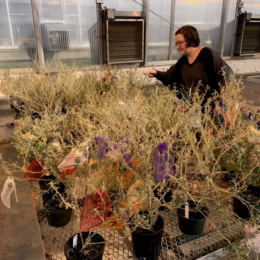 Penn State Anthropology tweet media