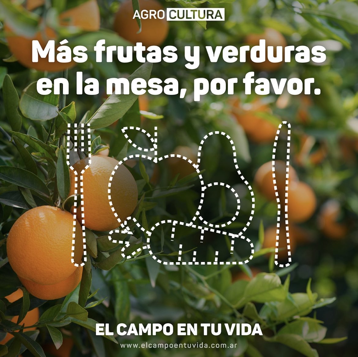 MariaSa62140215's tweet photo. #ElCampoEnTuVida 
#MasFrutasyVerduras https://t.co/YjuCVlij2t