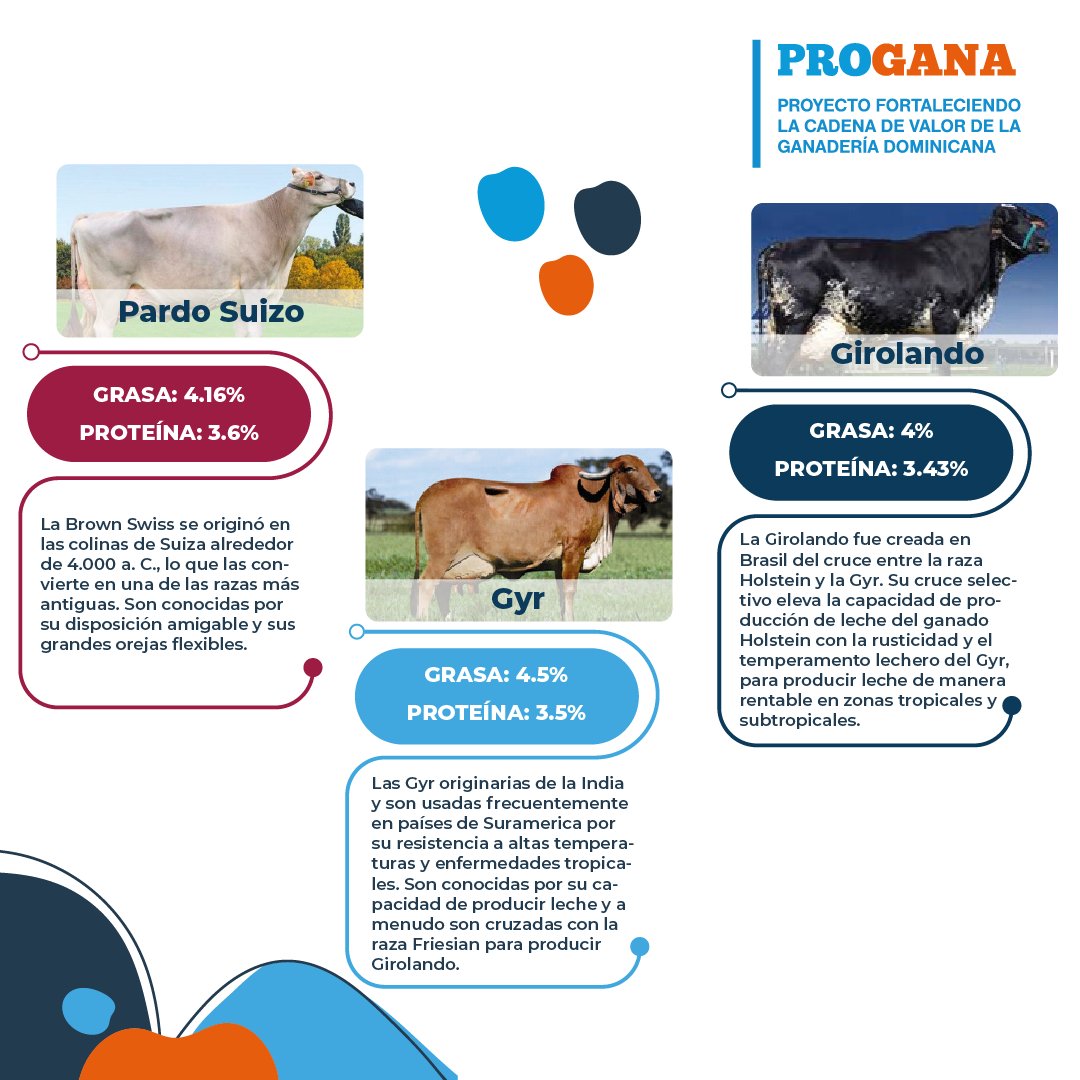 RdProgana's tweet photo. Guia sobre las vacas y sus quesos.
Alguna vez te has preguntado cómo se forman los diferentes quesos?
Como afecta la leche de diferentes vacas el sabor, el color y la intensidad del queso?
#PROGANA https://t.co/GIecNZXTok