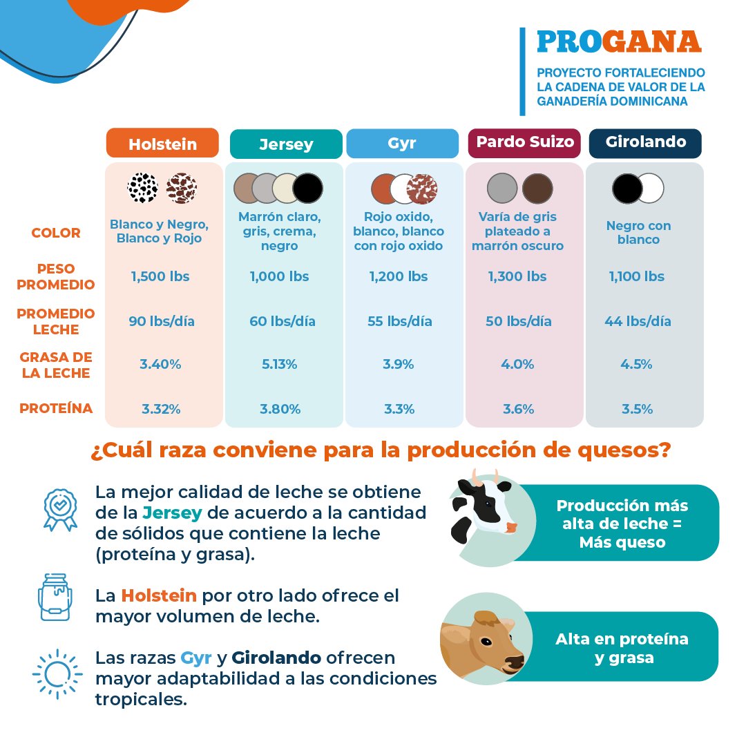RdProgana's tweet photo. Guia sobre las vacas y sus quesos.
Alguna vez te has preguntado cómo se forman los diferentes quesos?
Como afecta la leche de diferentes vacas el sabor, el color y la intensidad del queso?
#PROGANA https://t.co/GIecNZXTok