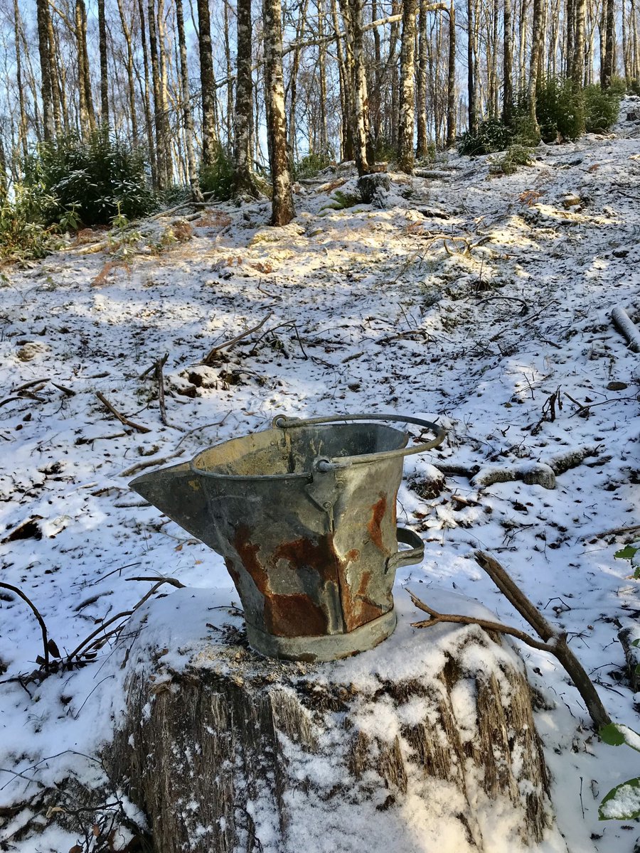 SteveScottBrac1's tweet photo. Interesting what you sometimes come across deep in the woods, in this case a tar bucket. And not a tarred road in sight! ⁦@ArkaigForest⁩ ⁦@WT_JessicaM⁩ ⁦@theclancameron⁩ https://t.co/HivyNv2Xon