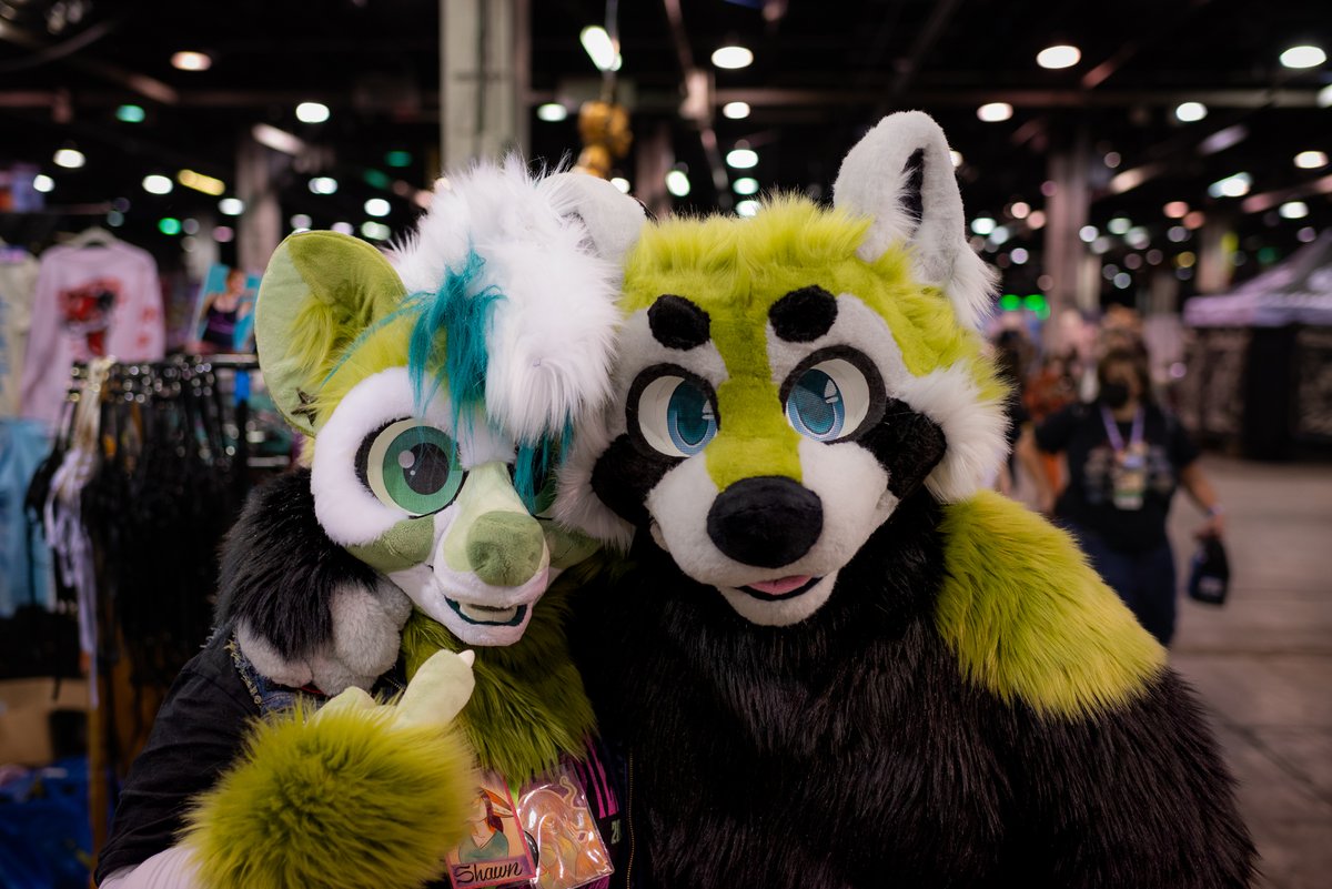 adelair_'s tweet photo. Fritter (@FritterCritter4) &amp; Strummer (@StrummerWah) #MFF2022 https://t.co/xYnVjgjTmV