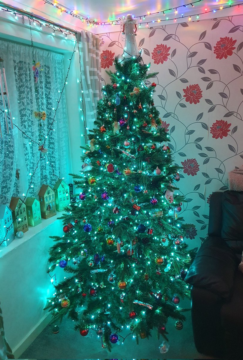 Carl Bovis tweet media