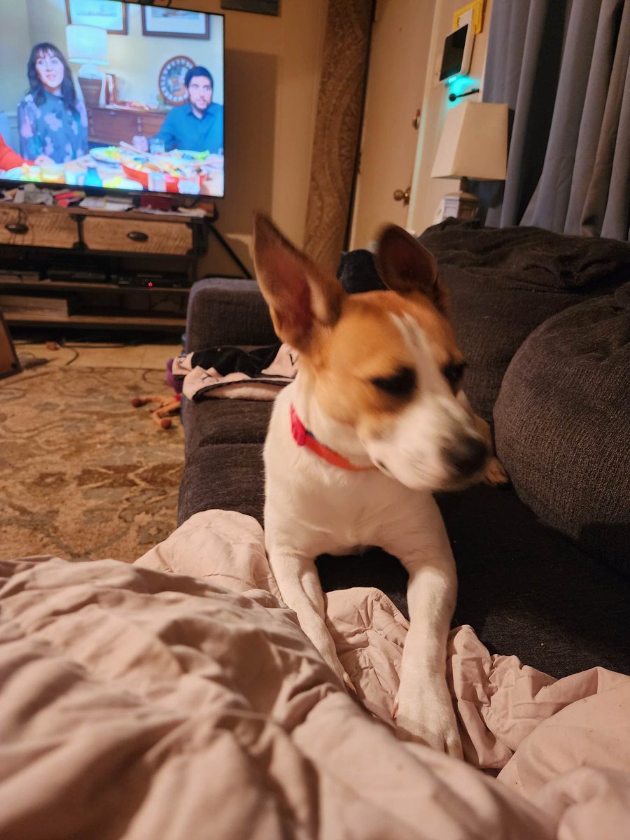 FBCASTX's tweet image. #pupdate #happyfail

“Paki now named Luna is absolutely loving her new home she is a goof ball and big sweetheart”

We love hearing stuff like this and are so glad Paki/Luka is happily in love.
