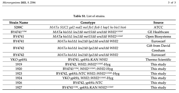 yeastgenome's tweet photo. ICYMI: Commercial lines of #BY4741 have accumulated #SNPs relative to the original version from the #knockout collection 🧬 https://t.co/wbH1jpXyYz
#yeast #YKO 👀 https://t.co/5i2JfYRdmk