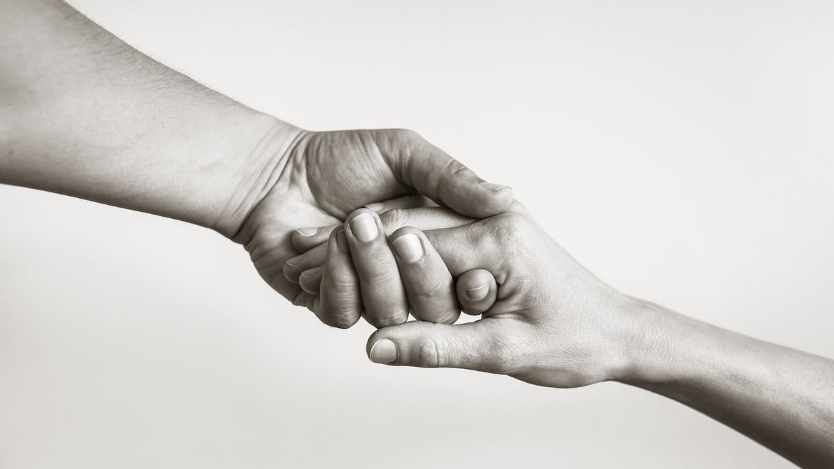 European Council for Steiner Waldorf Education tweet media