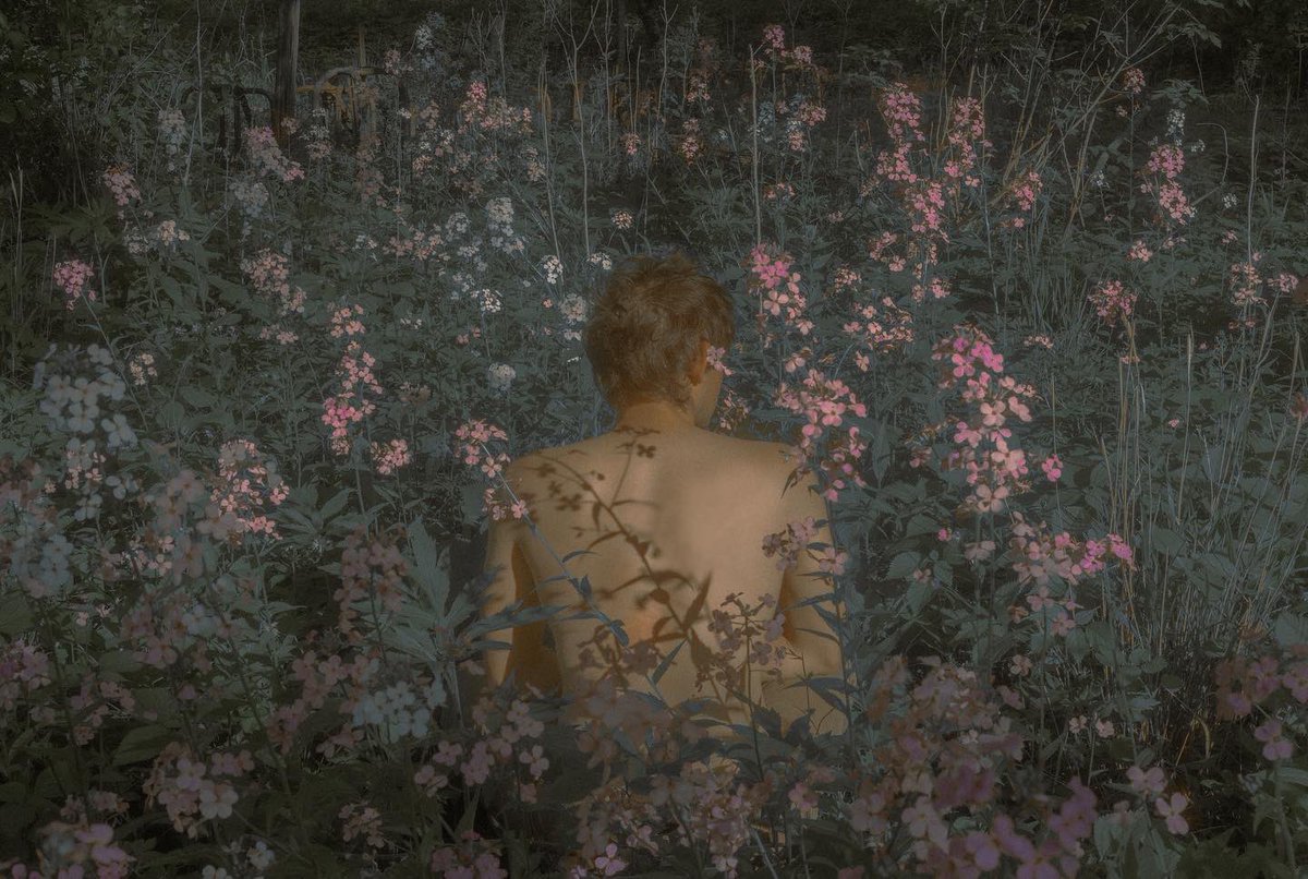 “Evolutions”
4 surreal scenes, 50 editions each