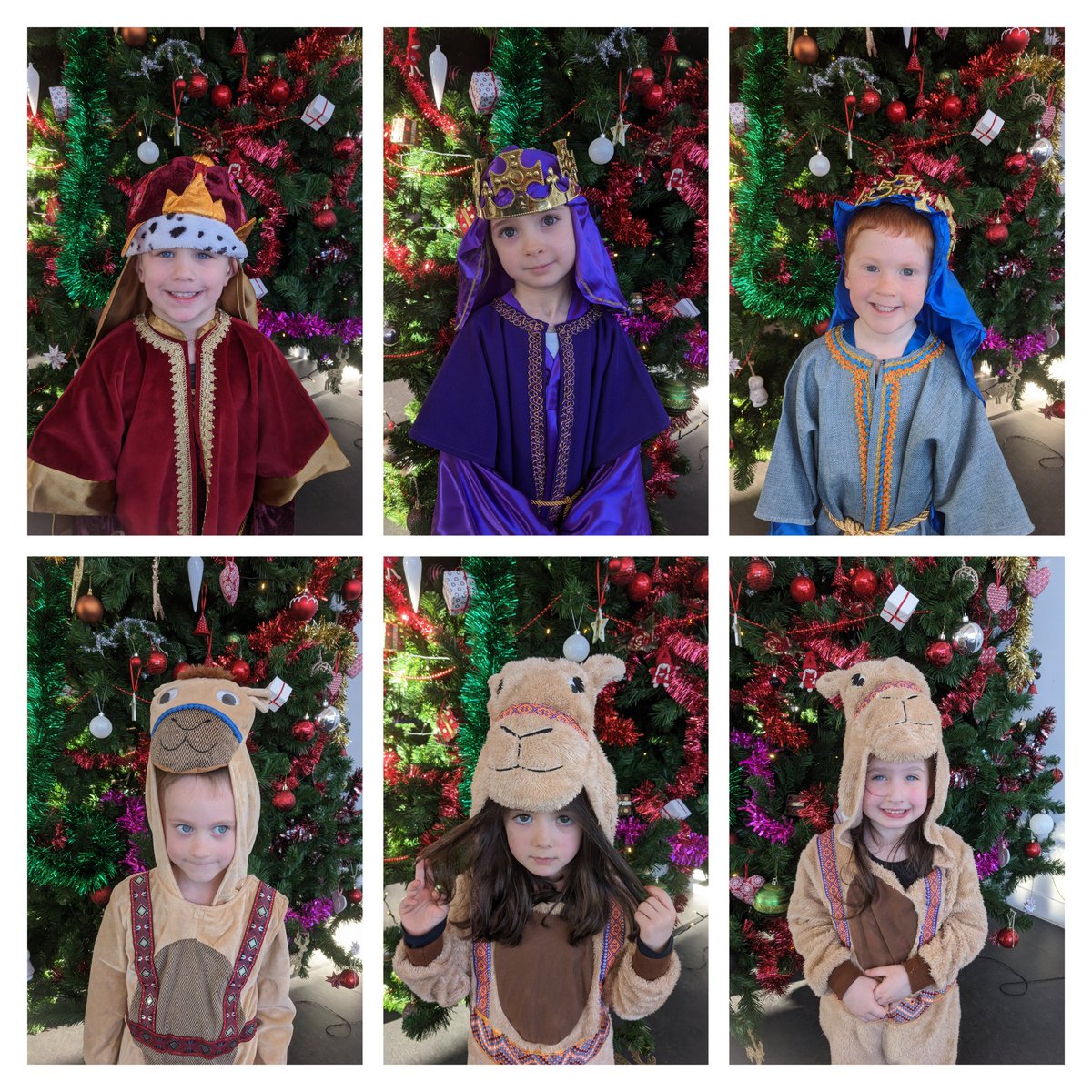 msaherd's tweet photo. P1s enjoyed their Nativity for the adults this afternoon. They rose to the occasion and sang their little hearts out. The P2 narrators and choir members helped tell the story, A King is Born. @MissBrodie2 @singoutoftheark https://t.co/X4qmvx4bP3