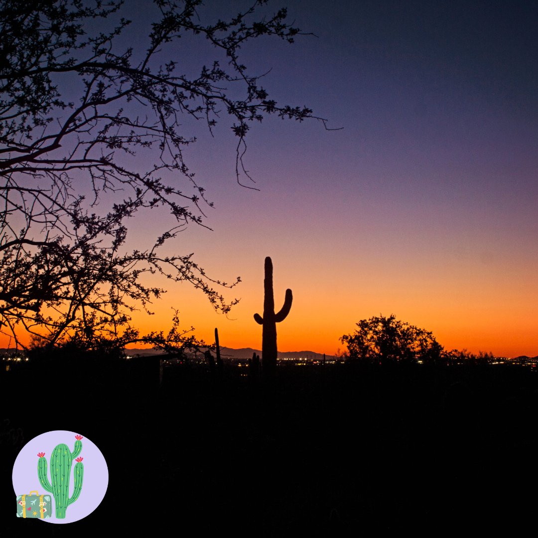 Arizona’s scenery is like no other. 🙌

#airbnb #rentalhome #vacationhome #vacationrental #getaway #visitaz #scottsdaleaz #scottsdalearizona #luxuryrental #travel #luxuryvacationrental #azluxuryrental #airbnbhome #airbnbaz #thingstodoinarizona #airbnbsuperhost