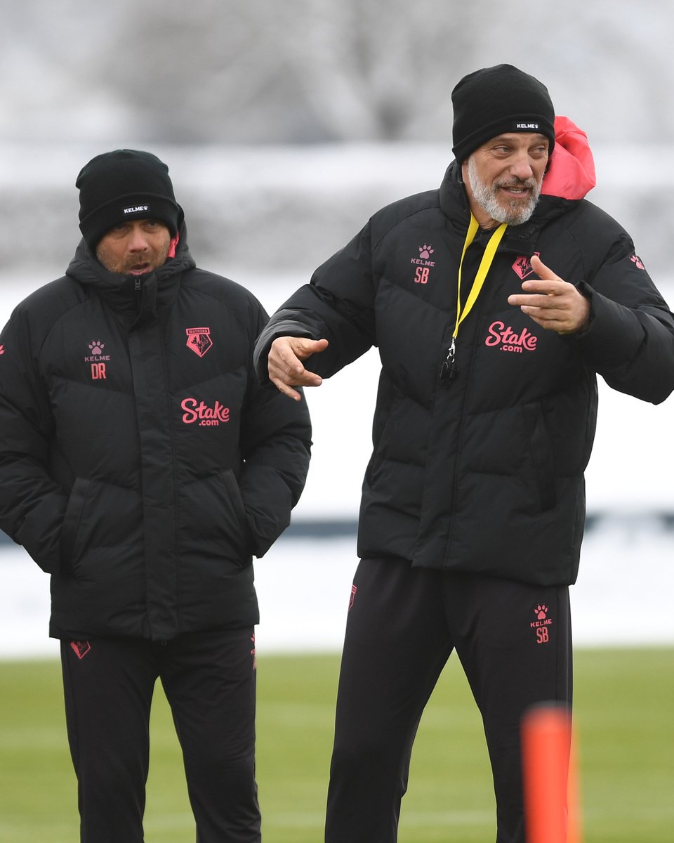 Watford Football Club tweet media