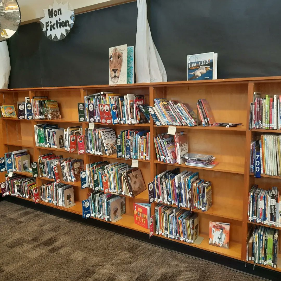 JenniferHTowns's tweet photo. Big changes coming to Non-fiction! Stay tuned! @indiancreekmid @Lori_McGovern #LibraryLadies https://t.co/bVCdCh3K5q