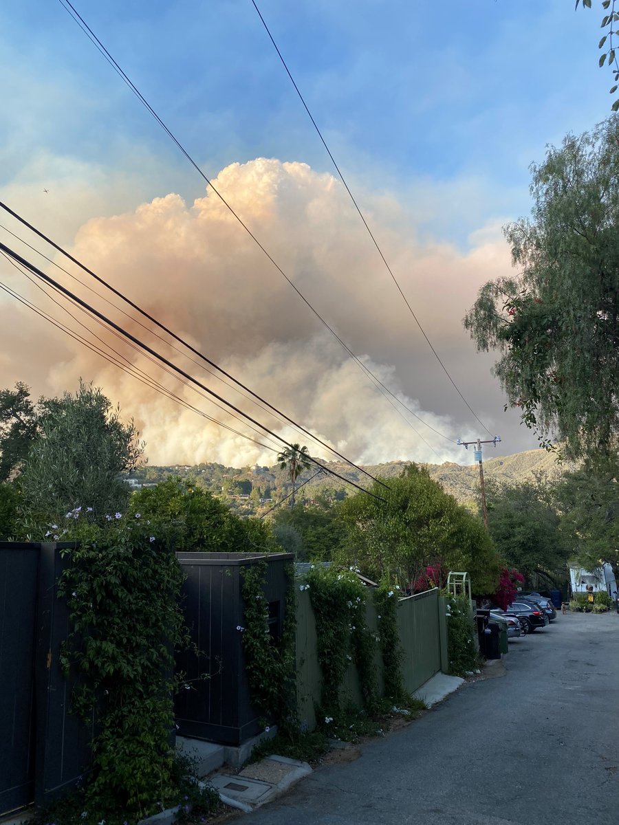 Galen D Shaffer tweet media