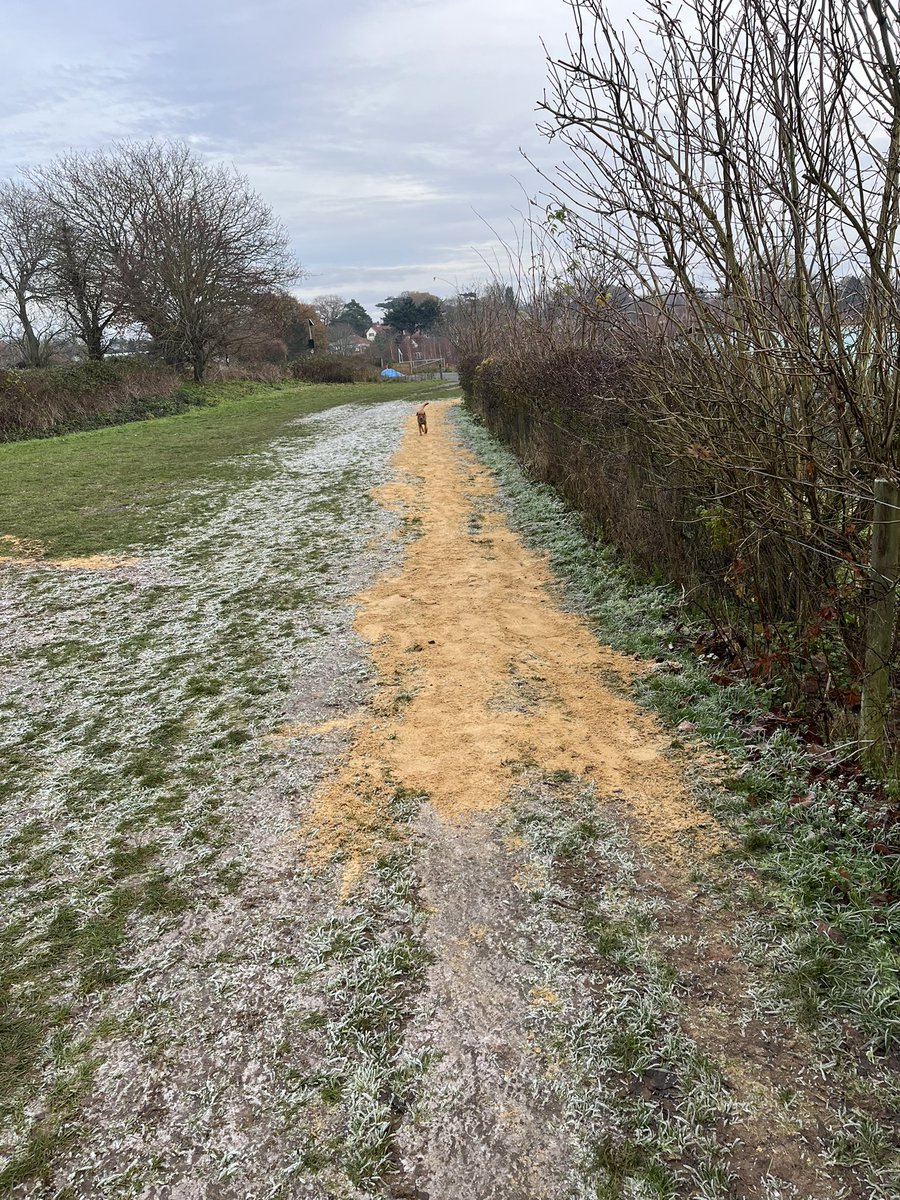 It’s cold at the Countryside Park, but more work is afoot to ensure that we can run and walk at the Countryside Park this winter #brundall we have put 10 tonnes of sand on the course and adding another 5! Makes a real difference we feel!  #safe