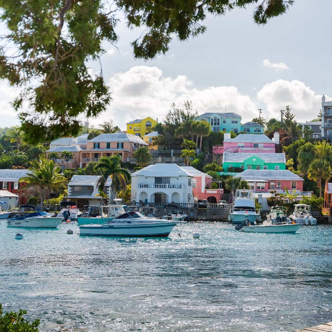 flynncruiseport's tweet photo. Holiday shopping can be smooth sailing when you gift a cruise getaway!  We offer easy escapes from #BostontoBermuda and the stunning #CanadaNewEngland coastline. For more details, visit our homeport partners @CruiseNorwegian, @HALcruises, @CelebrityCruise and @RoyalCaribbean. https://t.co/BD2UHo2Wr8