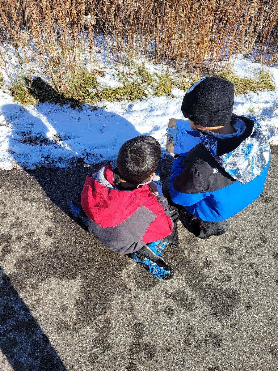 A little bit of outdoor word study on a sunny day.