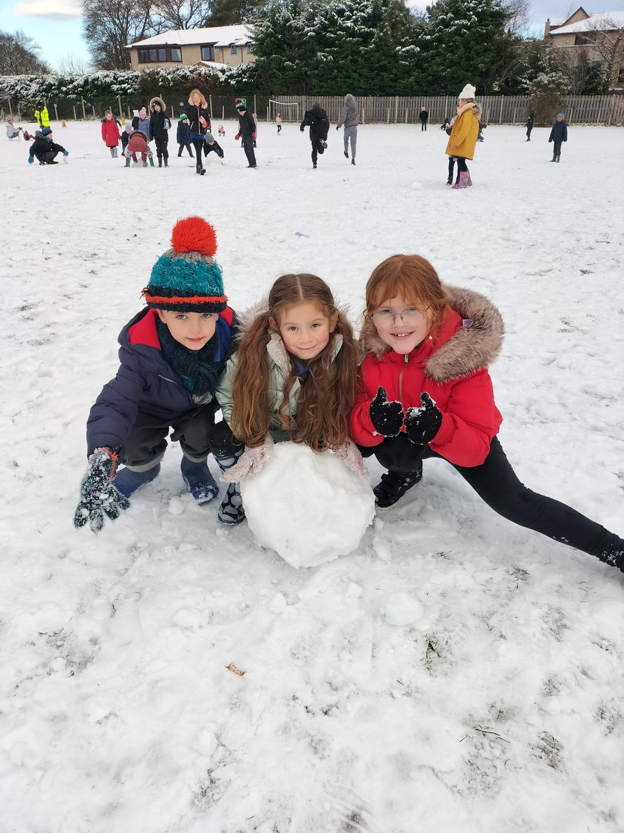 Ness Castle Primary School - Inverness tweet media