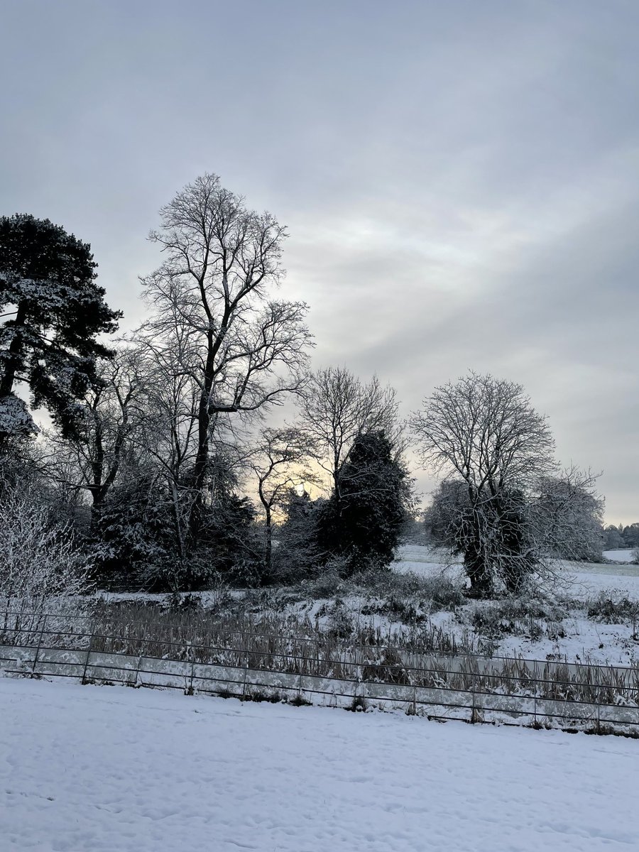 HawthornsOL's tweet photo. Forest School looks even prettier in the snow! ⁦@HawthornsSchool⁩ #walkinginawinterwonderland https://t.co/wUENLUZ1wO