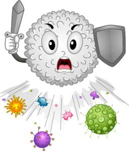 McVitamins's tweet photo. How to build T-cells and B-cells? Those are the cells that win the battle against any infection.
https://t.co/qgoHX0qD3m
#acquiredimmunity #naturalimmunity #immunitysupport #immunesystem https://t.co/Gi47uTfXoe