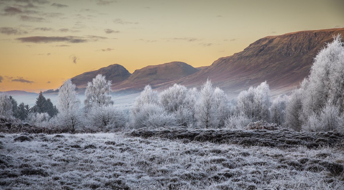 MartinShields1's tweet photo. It’s a chilly -7 from our walk around Loch Ardinning  looking towards the Campsie Fells  and Dumgoyne. The trees looked like Christmas trees all covered in frost.Our walk,near Mugdock County Park today. #frost  #weather #mugdockcountrypark #campsies #scotland https://t.co/5dKlWghe3r