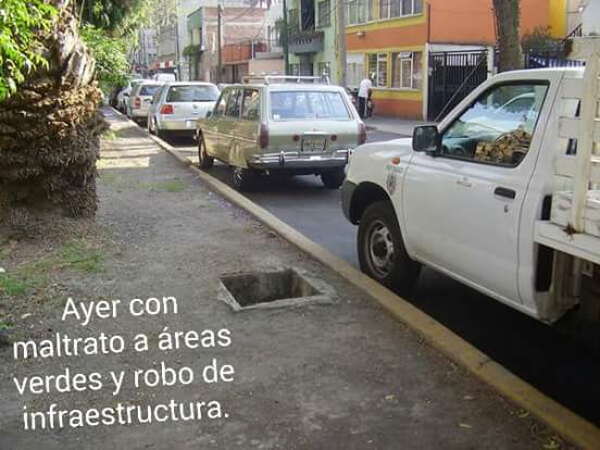 VillaDeCortesBJ's tweet photo. @PatriciaAlfaro @Isisvillicana @soyfelipe @iecm @STaboadaMx @XochitlBravoE @pagolamx @HugoTorresCDMX Yo solita me enfrenté a amenazas, agresiones, huesos de animales, etc., y pude reforestar con mis recur$os el camellón y quitar todos los carros. 
#ConTodoMenosMiedo https://t.co/edKsPDl7UU
