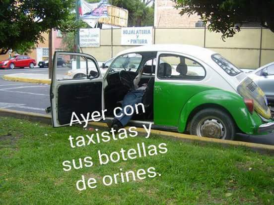 VillaDeCortesBJ's tweet photo. @PatriciaAlfaro @Isisvillicana @soyfelipe @iecm @STaboadaMx @XochitlBravoE @pagolamx @HugoTorresCDMX Yo solita me enfrenté a amenazas, agresiones, huesos de animales, etc., y pude reforestar con mis recur$os el camellón y quitar todos los carros. 
#ConTodoMenosMiedo https://t.co/edKsPDl7UU