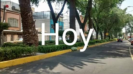 <a href="/PatriciaAlfaro/">Patricia Alfaro M</a> <a href="/Isisvillicana/">Isis villicaña</a> <a href="/soyfelipe/">Felipe Olvera</a> <a href="/iecm/">IECM</a> <a href="/STaboadaMx/">Santiago Taboada</a> <a href="/XochitlBravoE/">Xóchitl Bravo</a> <a href="/pagolamx/">𝙋𝙖𝙜𝙤𝙡𝙖 𝘾𝘿𝙈𝙓</a> <a href="/HugoTorresCDMX/">Hugo Torres Zumaya</a> Yo solita me enfrenté a amenazas, agresiones, huesos de animales, etc., y pude reforestar con mis recur$os el camellón y quitar todos los carros. 
#ConTodoMenosMiedo